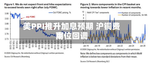 美PPI推升加息预期 沪铜费用高位回调-第2张图片