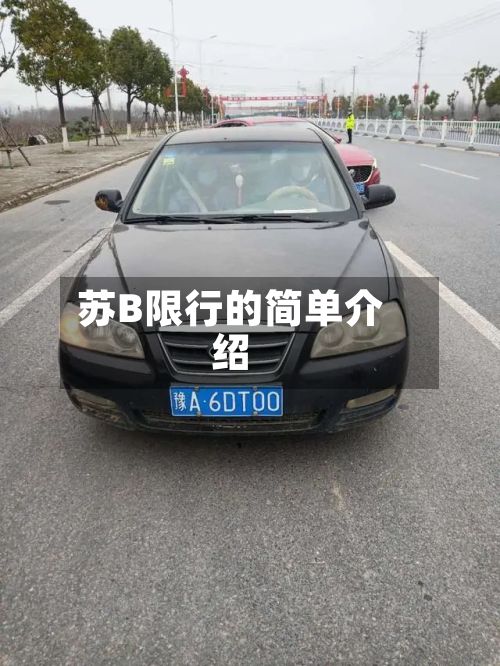 苏B限行的简单介绍