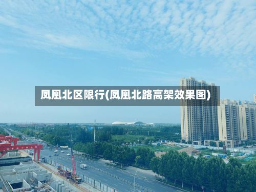 凤凰北区限行(凤凰北路高架效果图)