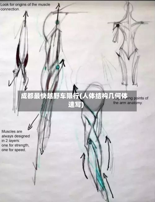 成都最快越野车限行(人体结构几何体速写)