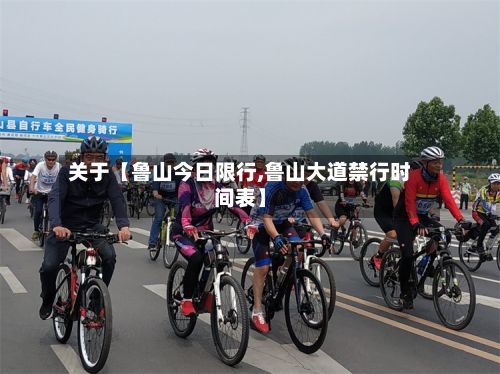 关于【鲁山今日限行,鲁山大道禁行时间表】-第2张图片