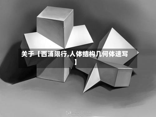 关于【西浦限行,人体结构几何体速写】-第2张图片