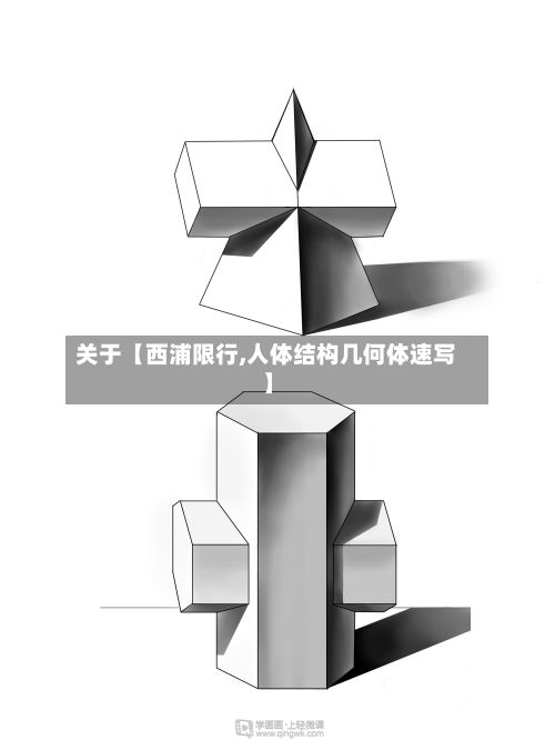 关于【西浦限行,人体结构几何体速写】