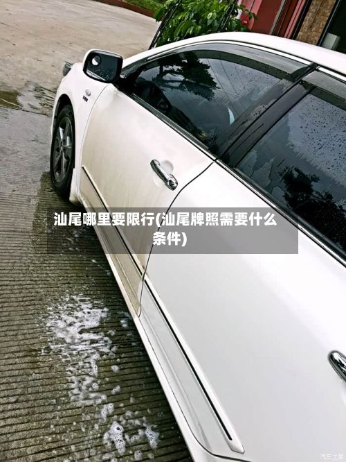 汕尾哪里要限行(汕尾牌照需要什么条件)
