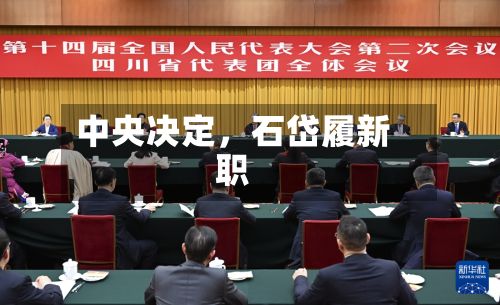 中央决定，石岱履新职