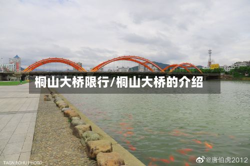 桐山大桥限行/桐山大桥的介绍