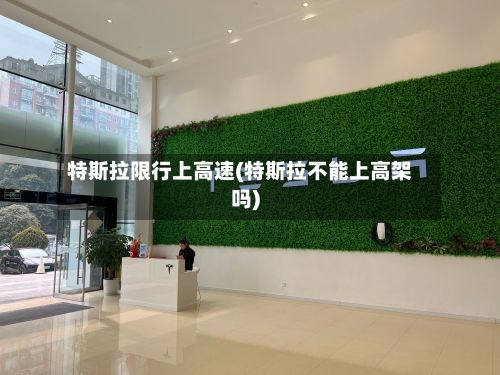 特斯拉限行上高速(特斯拉不能上高架吗)-第2张图片