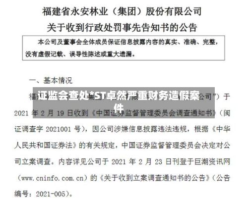 证监会查处*ST卓然严重财务造假案件-第2张图片