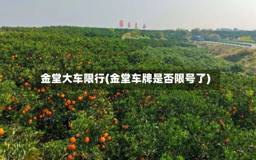 金堂大车限行(金堂车牌是否限号了)
