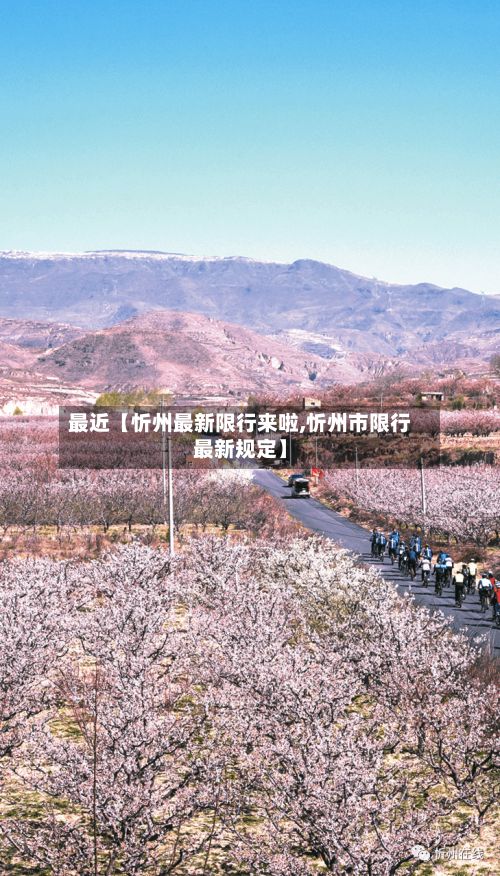最近【忻州最新限行来啦,忻州市限行最新规定】