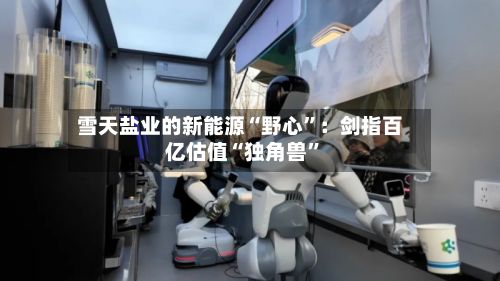 雪天盐业的新能源“野心”：剑指百亿估值“独角兽”-第2张图片