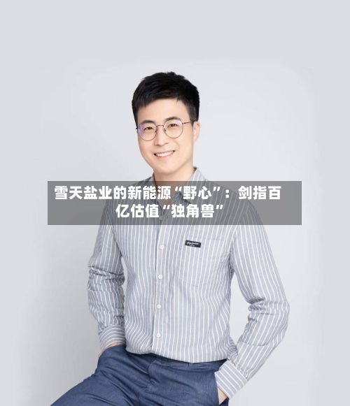雪天盐业的新能源“野心	”：剑指百亿估值“独角兽”-第3张图片