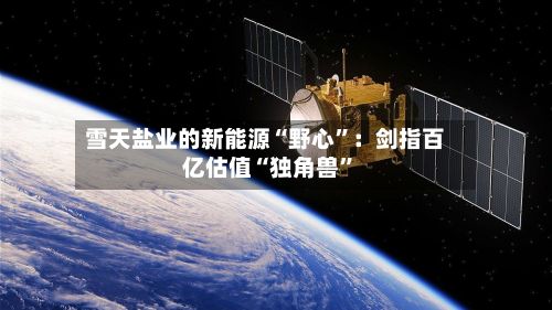雪天盐业的新能源“野心”：剑指百亿估值“独角兽”