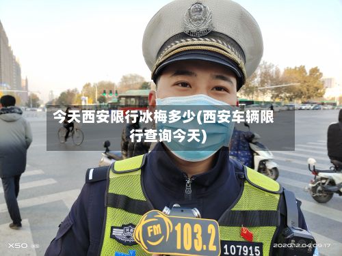 今天西安限行冰梅多少(西安车辆限行查询今天)-第3张图片