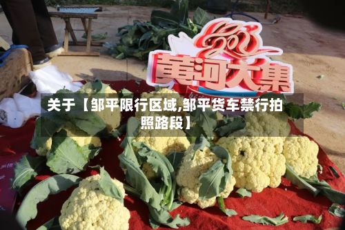 关于【邹平限行区域,邹平货车禁行拍照路段】-第3张图片