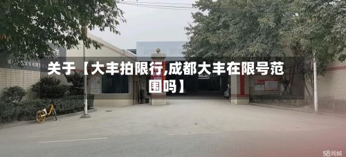 关于【大丰拍限行,成都大丰在限号范围吗】-第3张图片