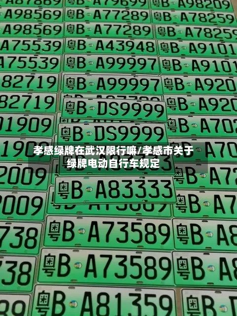 孝感绿牌在武汉限行嘛/孝感市关于绿牌电动自行车规定