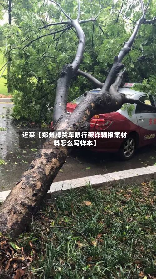 近来【郑州牌货车限行被诈骗报案材料怎么写样本】-第3张图片
