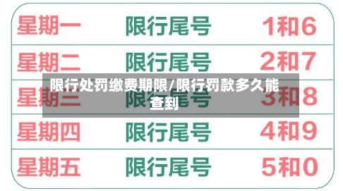 限行处罚缴费期限/限行罚款多久能查到-第2张图片