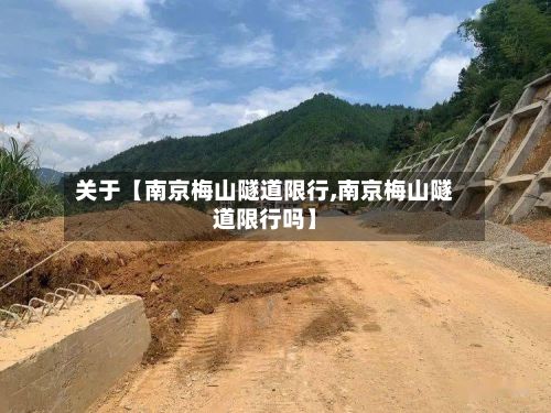 关于【南京梅山隧道限行,南京梅山隧道限行吗】