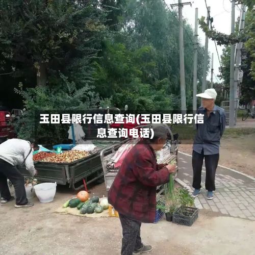玉田县限行信息查询(玉田县限行信息查询电话)-第3张图片