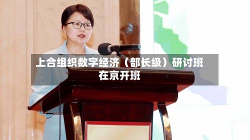 上合组织数字经济(部长级)研讨班在京开班-第2张图片