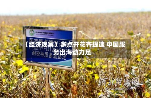 （经济观察）多点开花齐提速 中国服务出海动力足