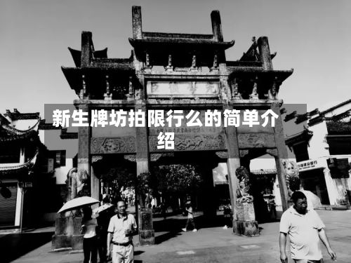 新生牌坊拍限行么的简单介绍-第2张图片