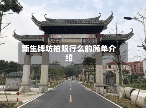 新生牌坊拍限行么的简单介绍-第3张图片