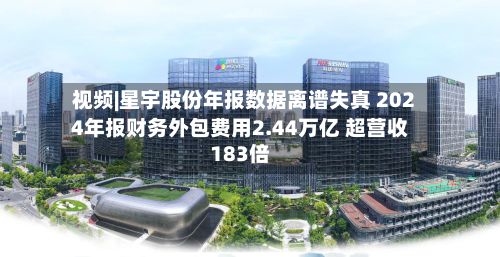 视频|星宇股份年报数据离谱失真 2024年报财务外包费用2.44万亿 超营收183倍