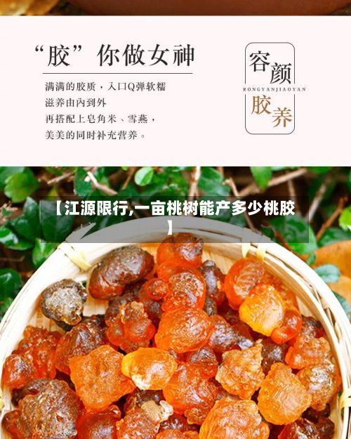 【江源限行,一亩桃树能产多少桃胶】-第2张图片