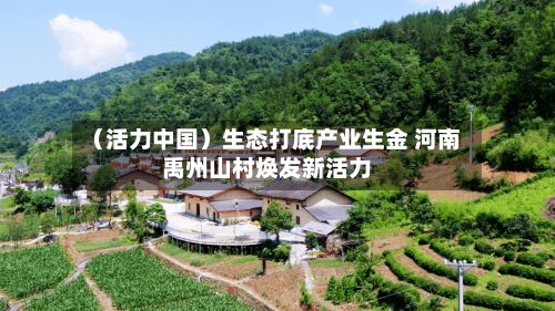 （活力中国）生态打底产业生金 河南禹州山村焕发新活力-第2张图片