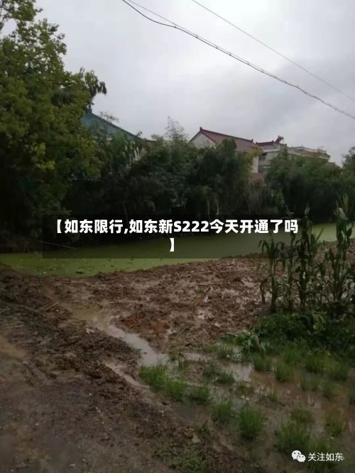 【如东限行,如东新S222今天开通了吗】