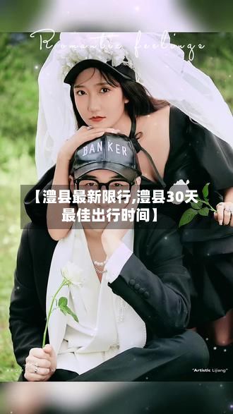 【澧县最新限行,澧县30天最佳出行时间】