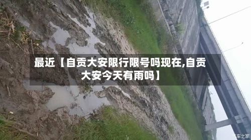 最近【自贡大安限行限号吗现在,自贡大安今天有雨吗】-第2张图片