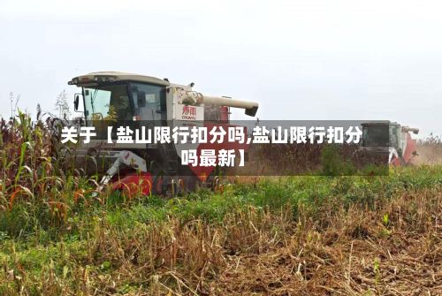 关于【盐山限行扣分吗,盐山限行扣分吗最新】-第3张图片
