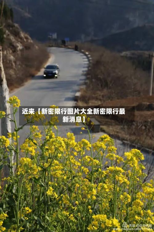 近来【新密限行图片大全新密限行最新消息】-第2张图片