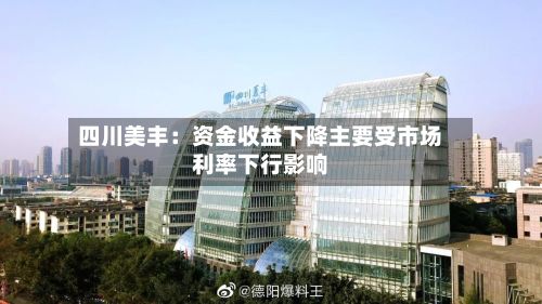 四川美丰:资金收益下降主要受市场利率下行影响