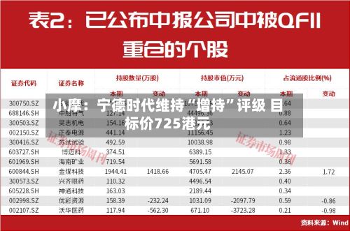 小摩：宁德时代维持“增持”评级 目标价725港元-第1张图片