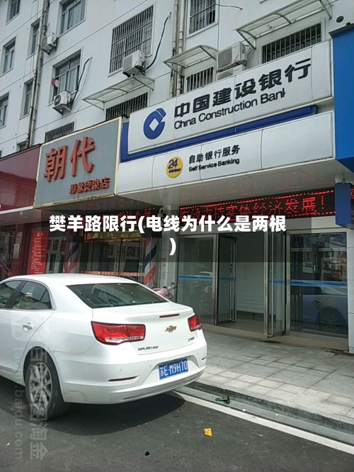 樊羊路限行(电线为什么是两根)