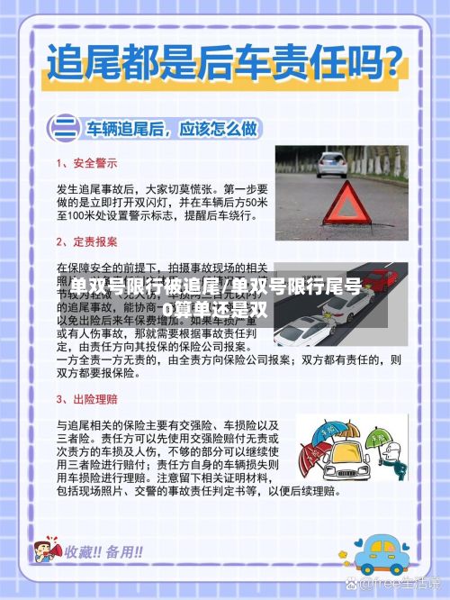 单双号限行被追尾/单双号限行尾号0算单还是双-第2张图片