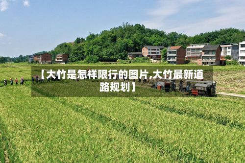 【大竹是怎样限行的图片,大竹最新道路规划】