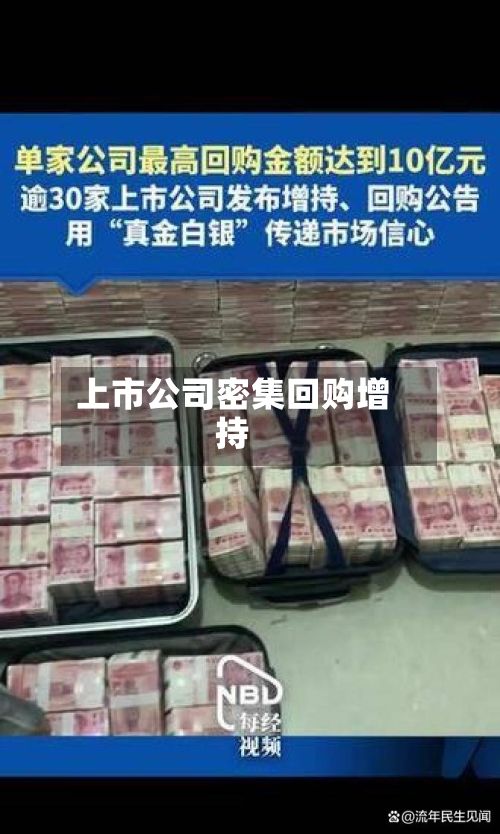 上市公司密集回购增持-第3张图片