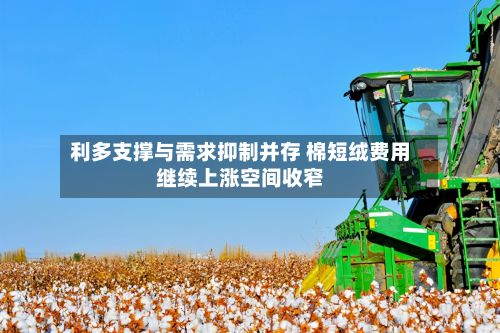 利多支撑与需求抑制并存 棉短绒费用继续上涨空间收窄-第1张图片
