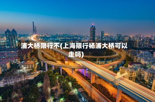浦大桥限行不(上海限行杨浦大桥可以走吗)-第2张图片