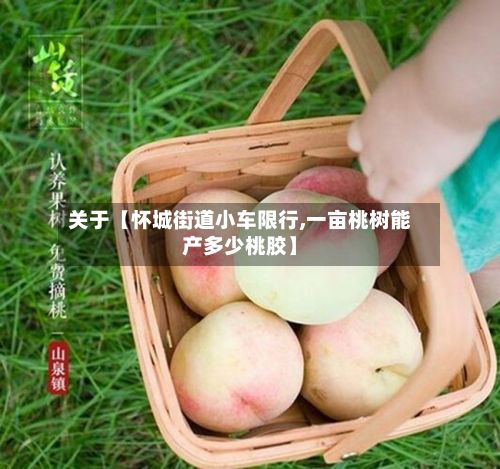 关于【怀城街道小车限行,一亩桃树能产多少桃胶】