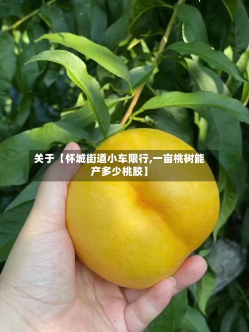 关于【怀城街道小车限行,一亩桃树能产多少桃胶】-第2张图片