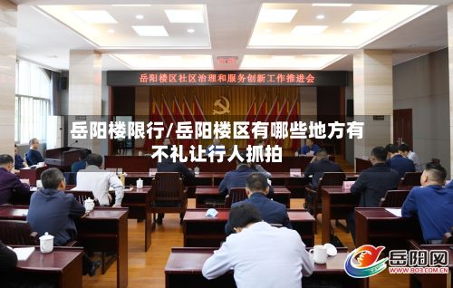 岳阳楼限行/岳阳楼区有哪些地方有不礼让行人抓拍-第2张图片