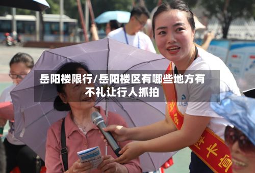 岳阳楼限行/岳阳楼区有哪些地方有不礼让行人抓拍