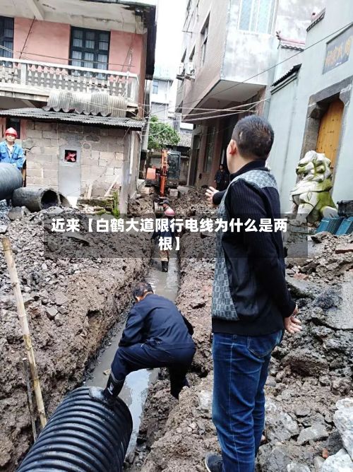近来【白鹤大道限行电线为什么是两根】-第3张图片